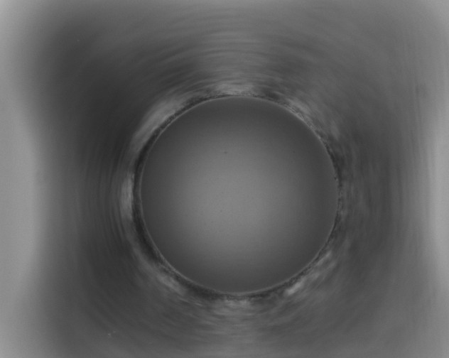 X0000114020194200910021424