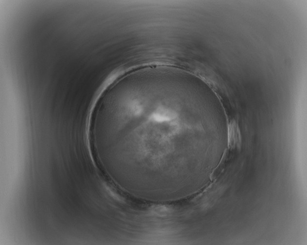 X0000114020195200910021424
