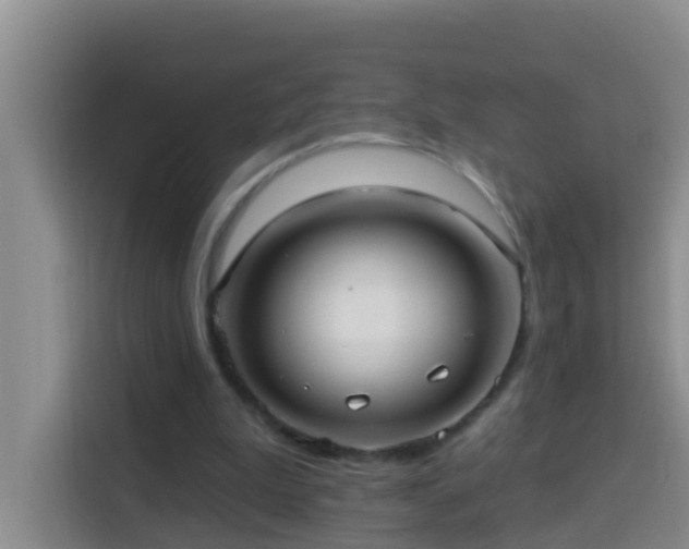 X0000114020199200910021424