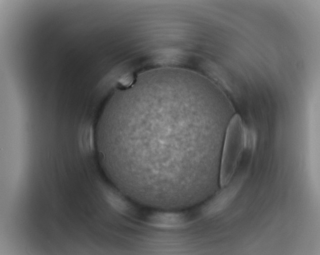 X0000114020205200910021424
