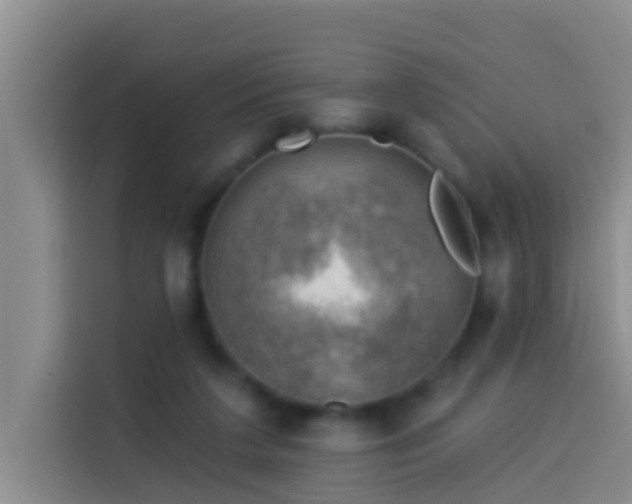 X0000114020211200910021424