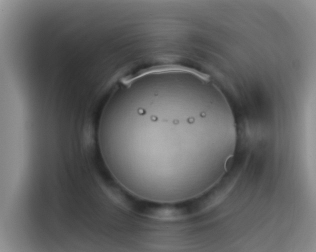 X0000114020212200910021424