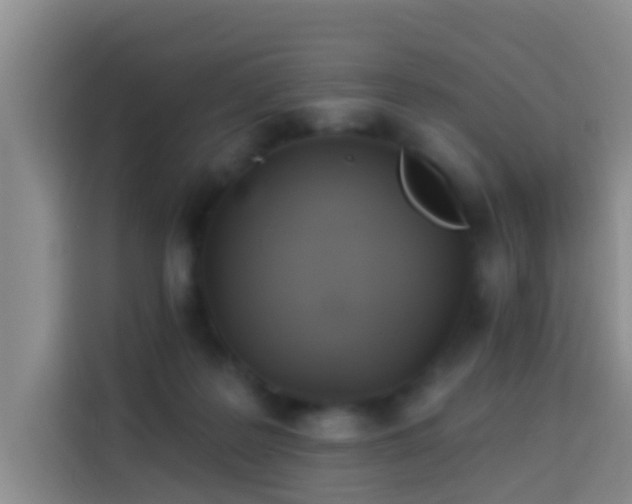 X0000114020219200910021424