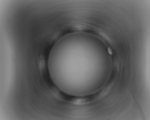 X0000114020220200910021424