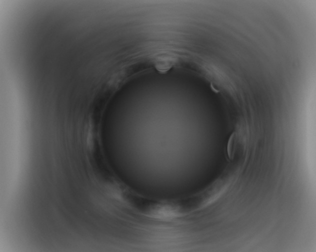 X0000114020223200910021424