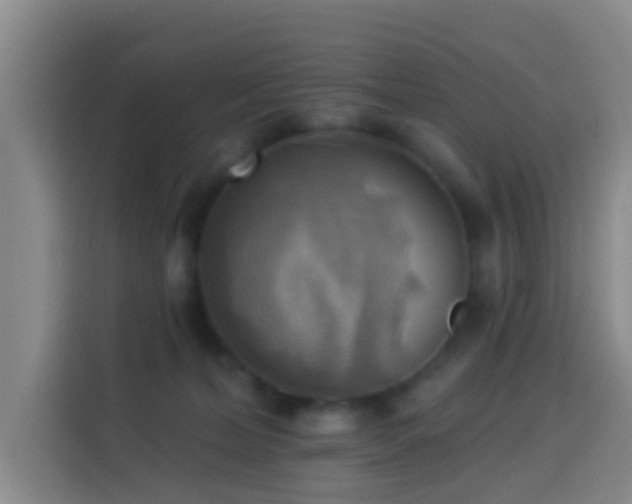 X0000114020228200910021424