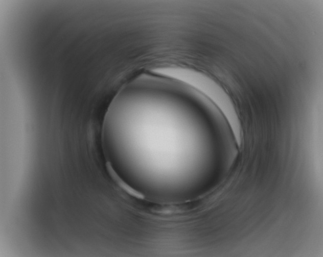 X0000114020229200910021424