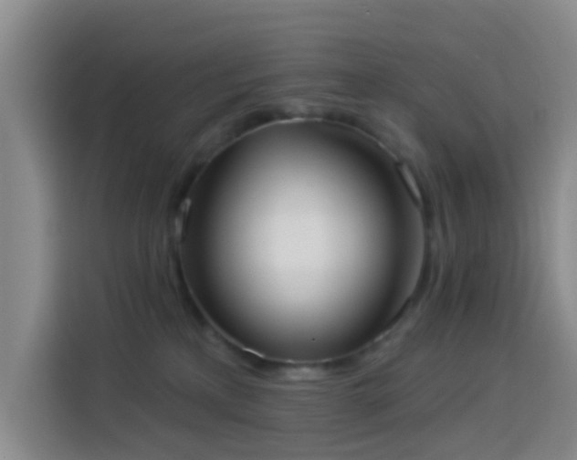 X0000114020233200910021424
