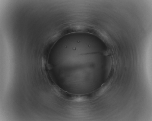 X0000114020235200910021424