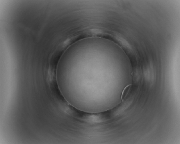 X0000114020236200910021424