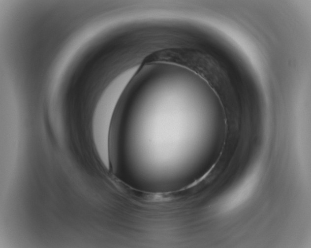 X0000114020239200910021423