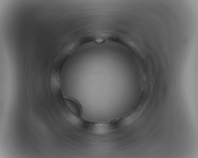 X0000114020240200910021423