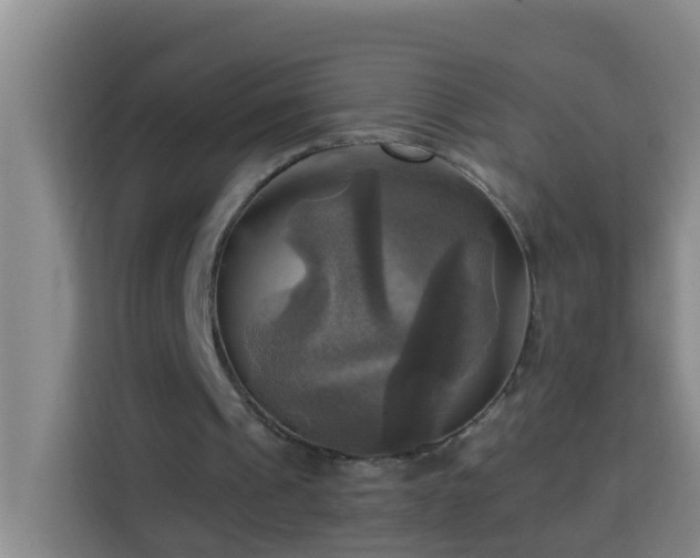 X0000114020241200910021423