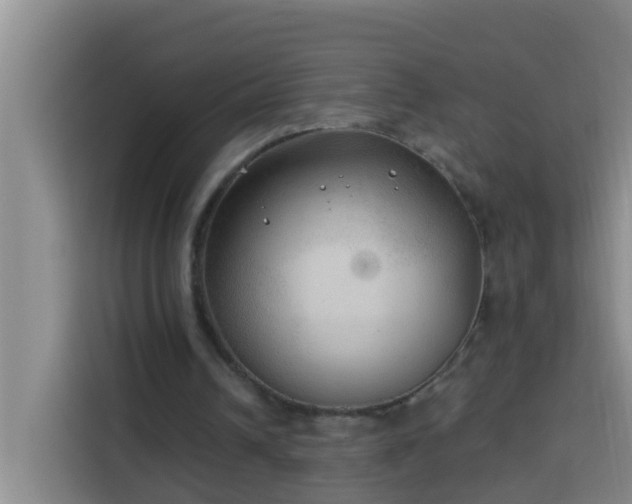 X0000114020242200910021423