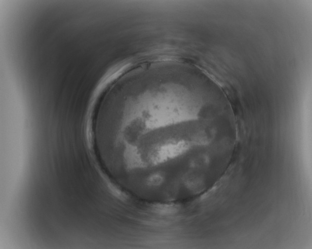 X0000114020245200910021423