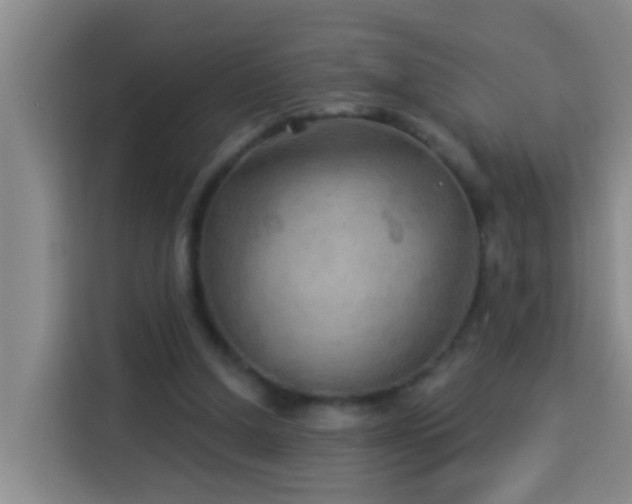 X0000114020250200910021423