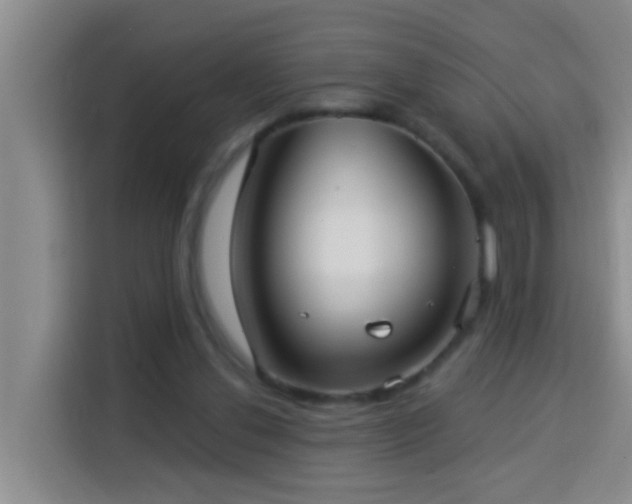 X0000114020252200910021423