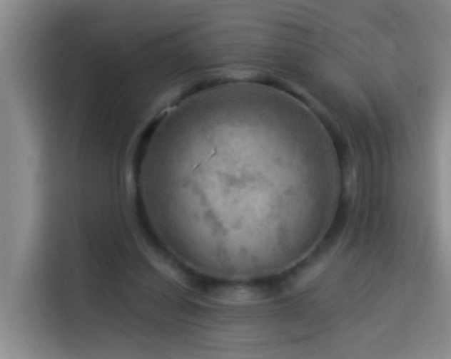 X0000114020254200910021423