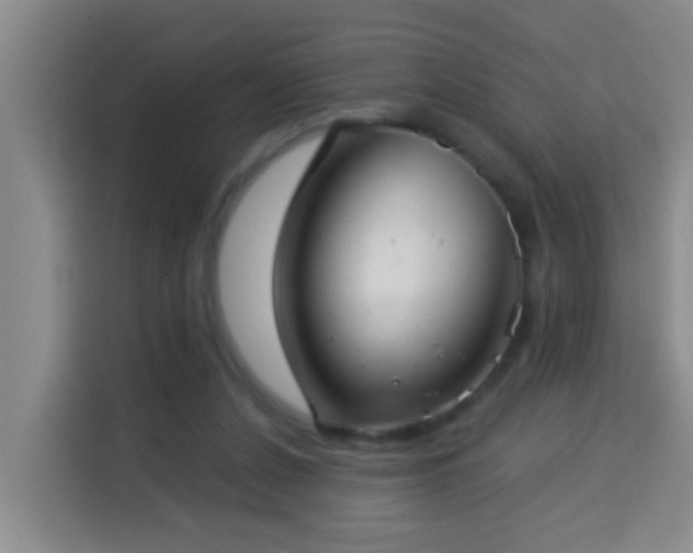 X0000114020256200910021423