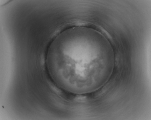 X0000114020257200910021423