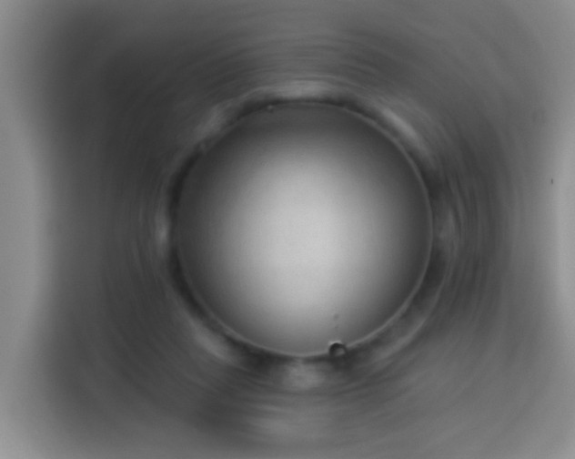 X0000114020261200910021423