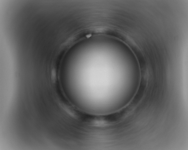 X0000114020262200910021423
