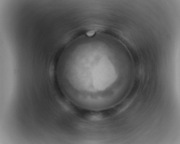 X0000114020263200910021423