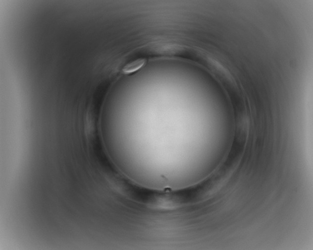X0000114020268200910021423
