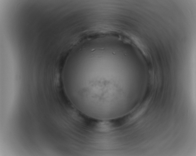 X0000114020269200910021423