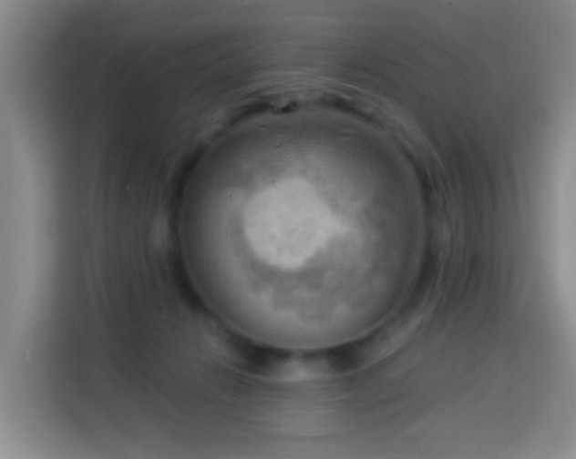 X0000114020270200910021423