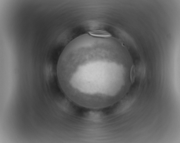 X0000114020272200910021423