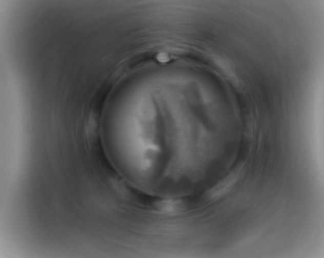 X0000114020273200910021423