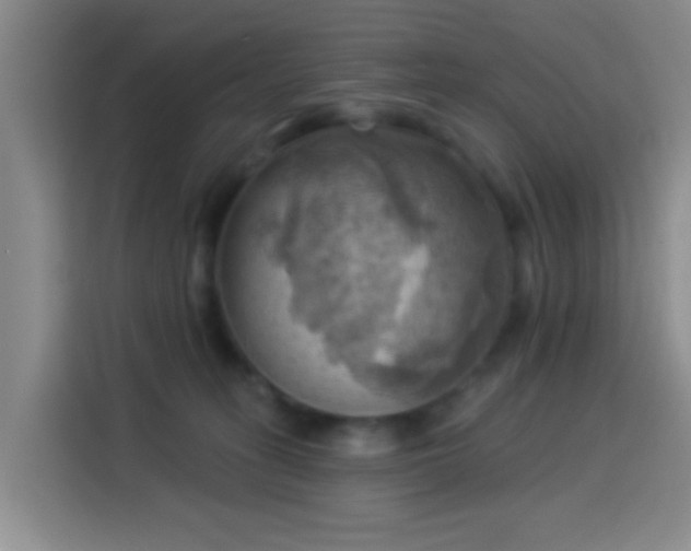 X0000114020275200910021423