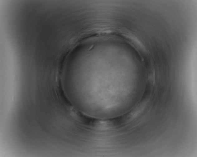X0000114020277200910021423