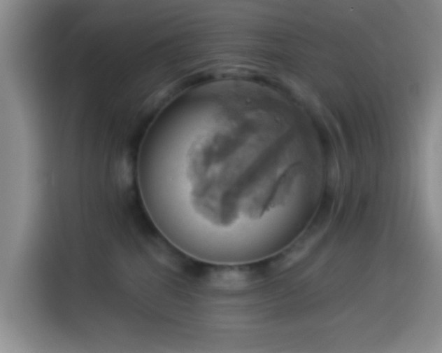X0000114020282200910021423
