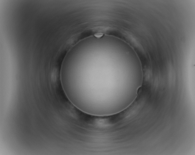 X0000114020283200910021423