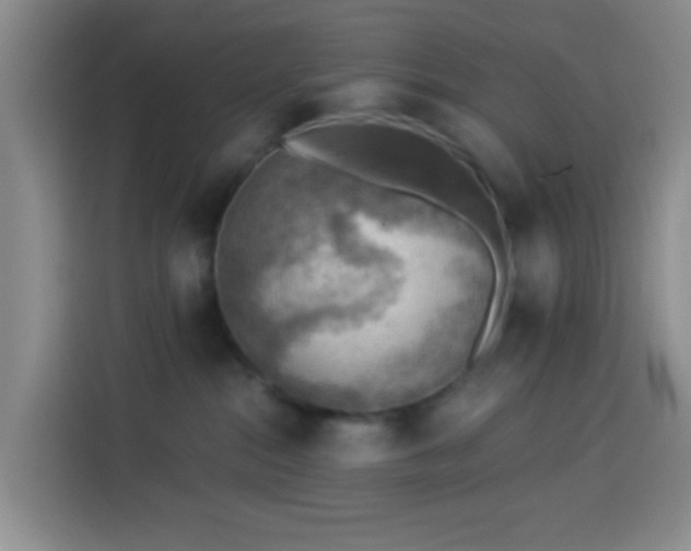 X0000114020284200910021423