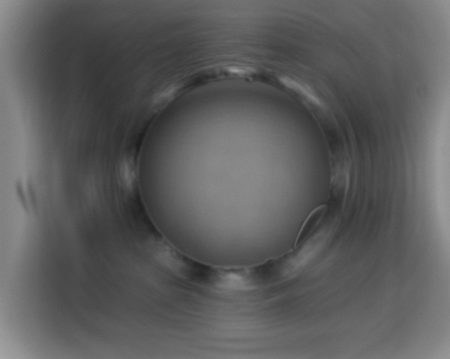 X0000114020285200910021423