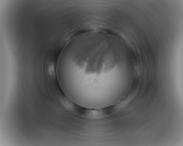 X0000114020286200910021423