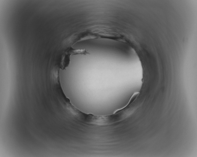X0000114020288200910021423