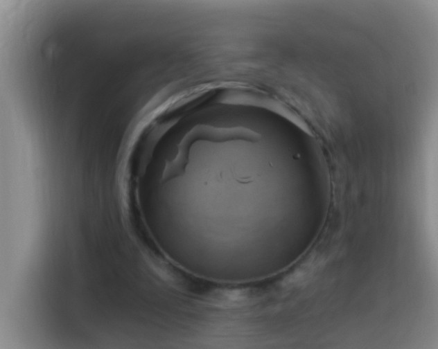 X0000114020295200910021423