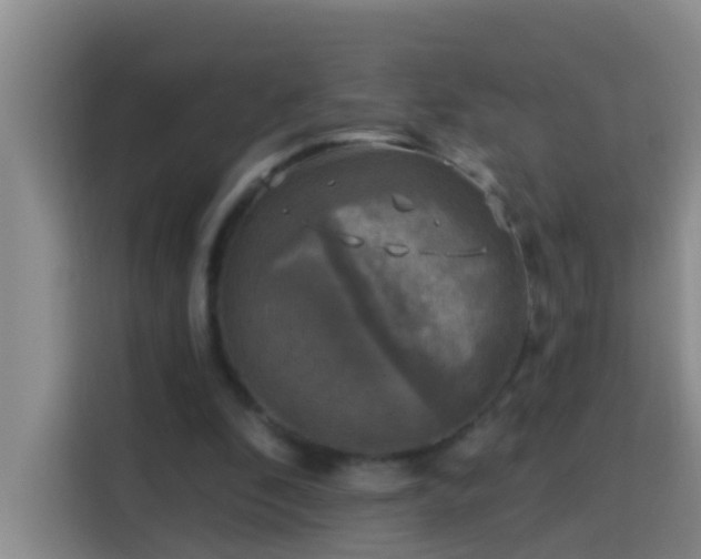 X0000114020296200910021423