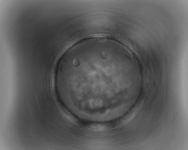 X0000114020299200910021423