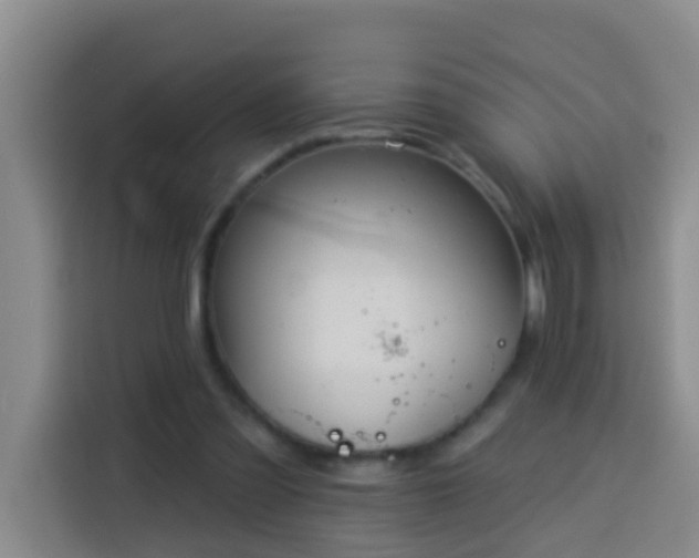 X0000114020301200910021423