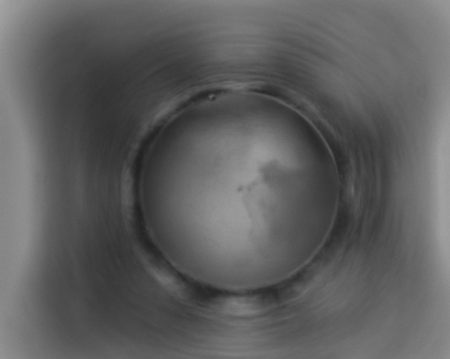 X0000114020303200910021423