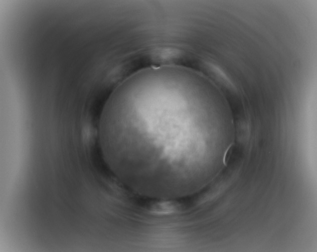 X0000114020324200910021422