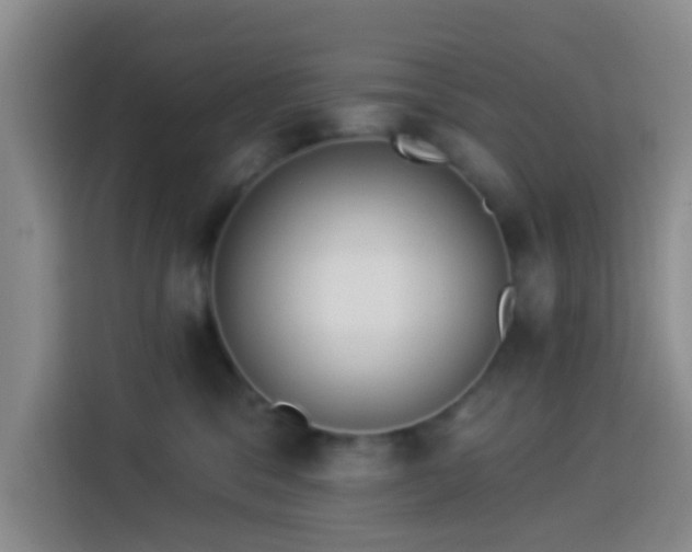 X0000114020329200910021422