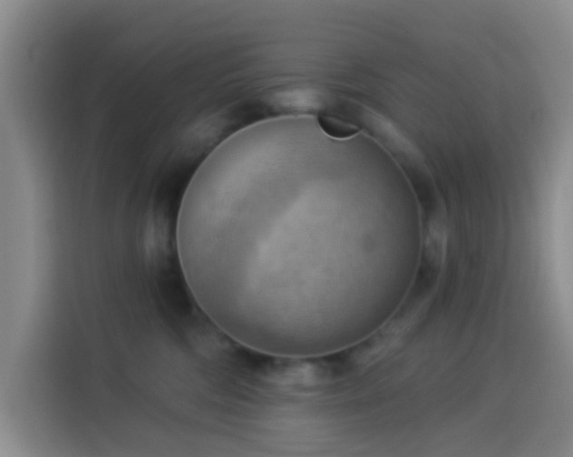 X0000114020330200910021422