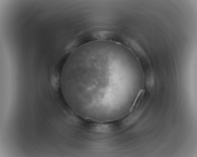 X0000114020332200910021422