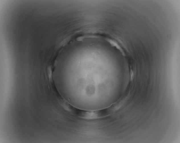 X0000114020335200910021422